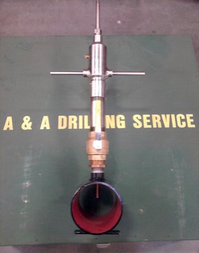 Thermowell Inserts